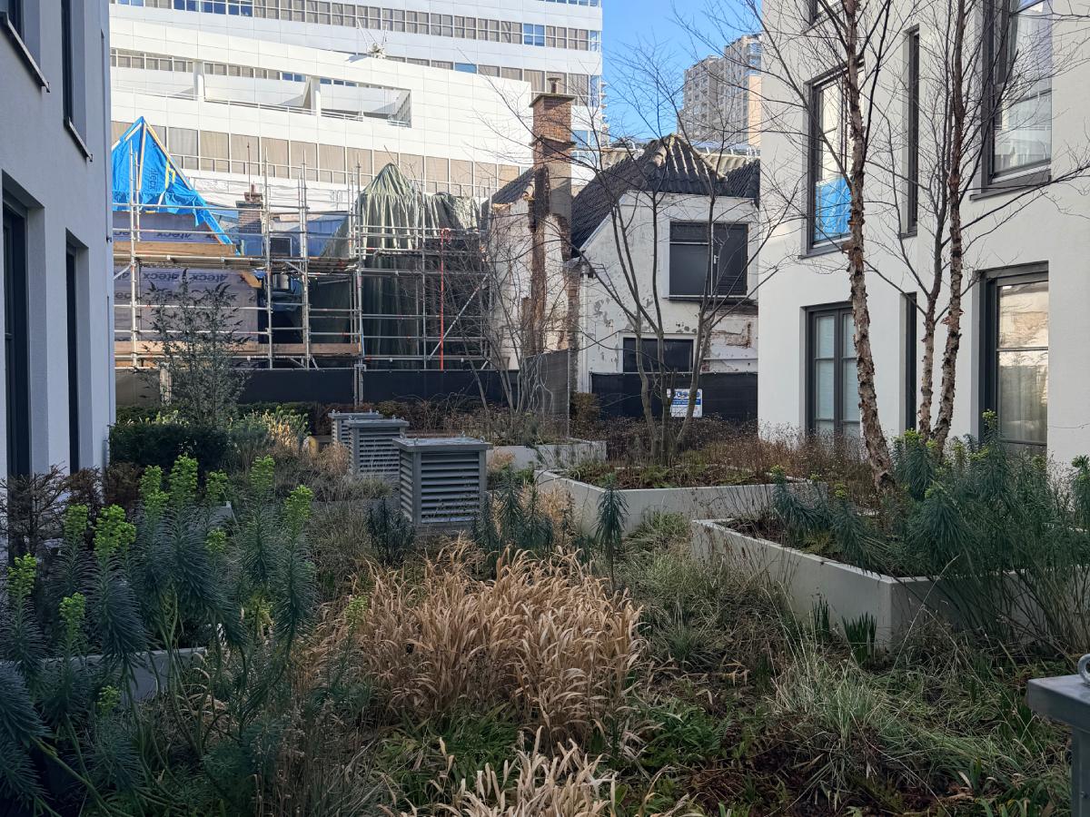 VvE tuinonderhoud in biodiverse binnentuin – Hartje Den Haag - de plant technicus