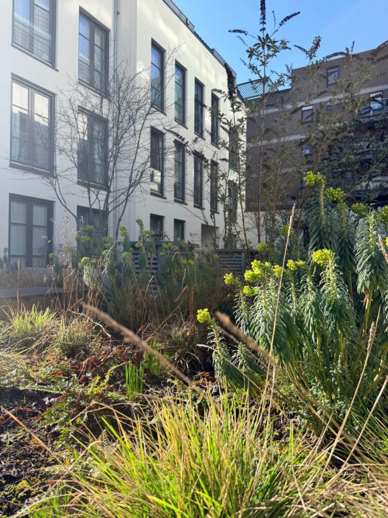 tuinonderhoud - De Plant Technicus - Hoveniersbedrijf Den Haag